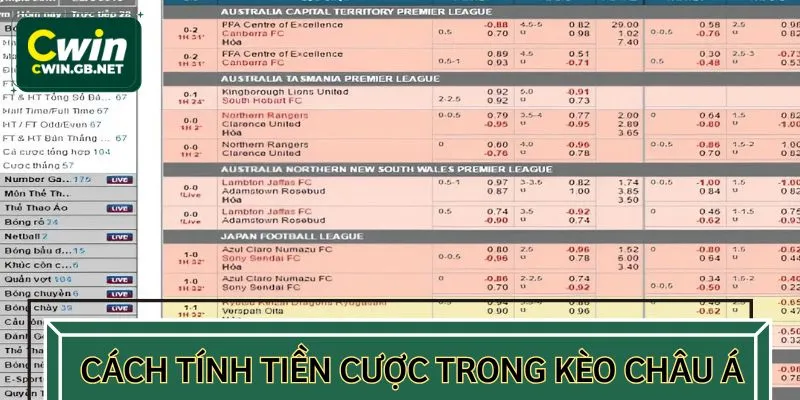 Kèo châu Á áp dụng cơ chế thưởng rõ ràng