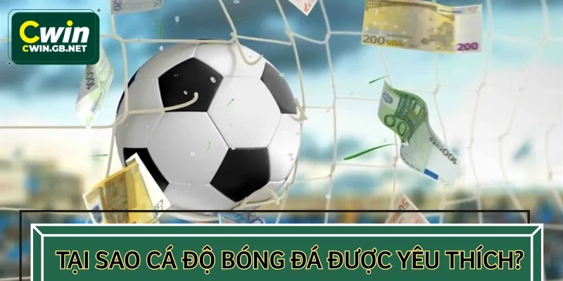 Cá độ bóng đá được tín đồ giải trí yêu thích