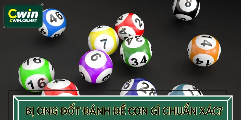 Bị ong đốt đánh đề con gì cho chuẩn xác?